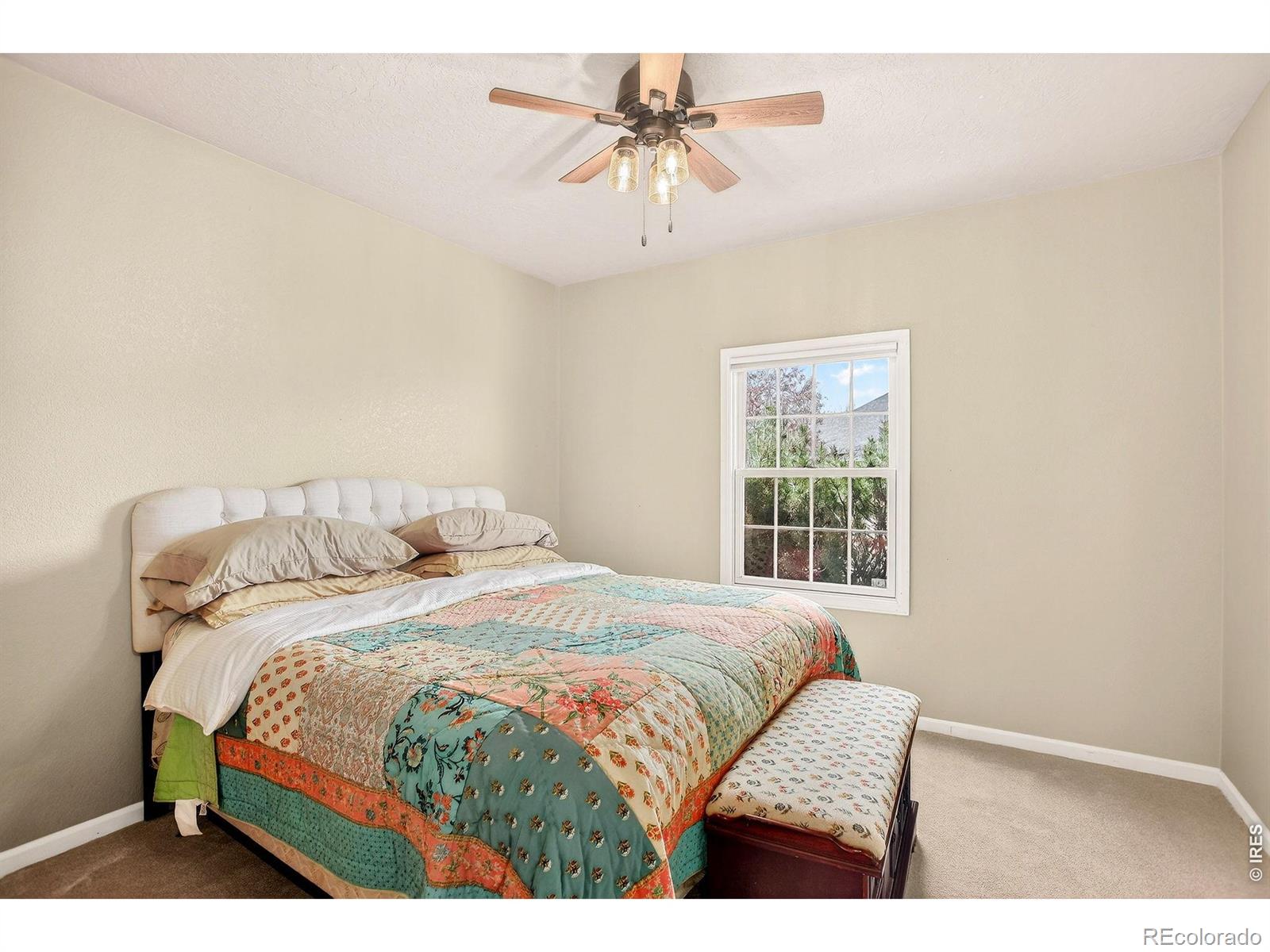 7514 19th Street Road Greeley CO 80634