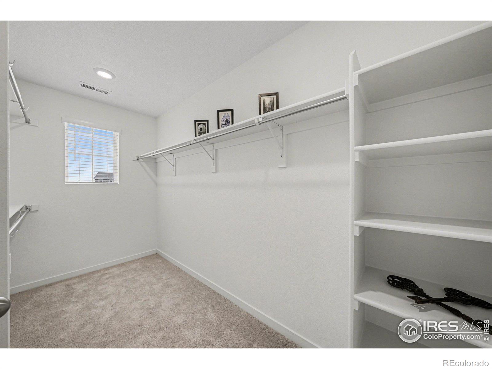 5548 Runge Court Timnath CO 80547