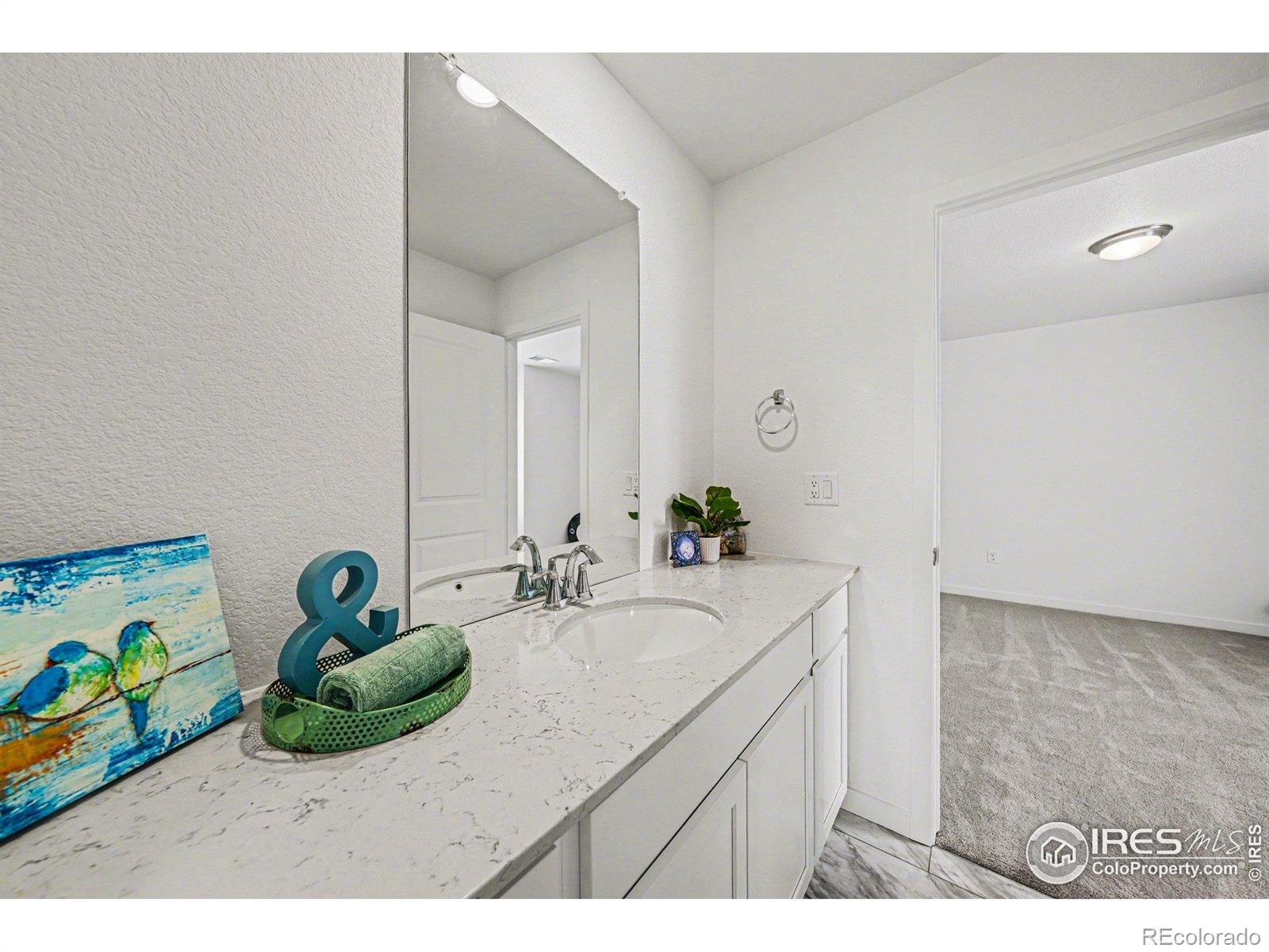 5548 Runge Court Timnath CO 80547