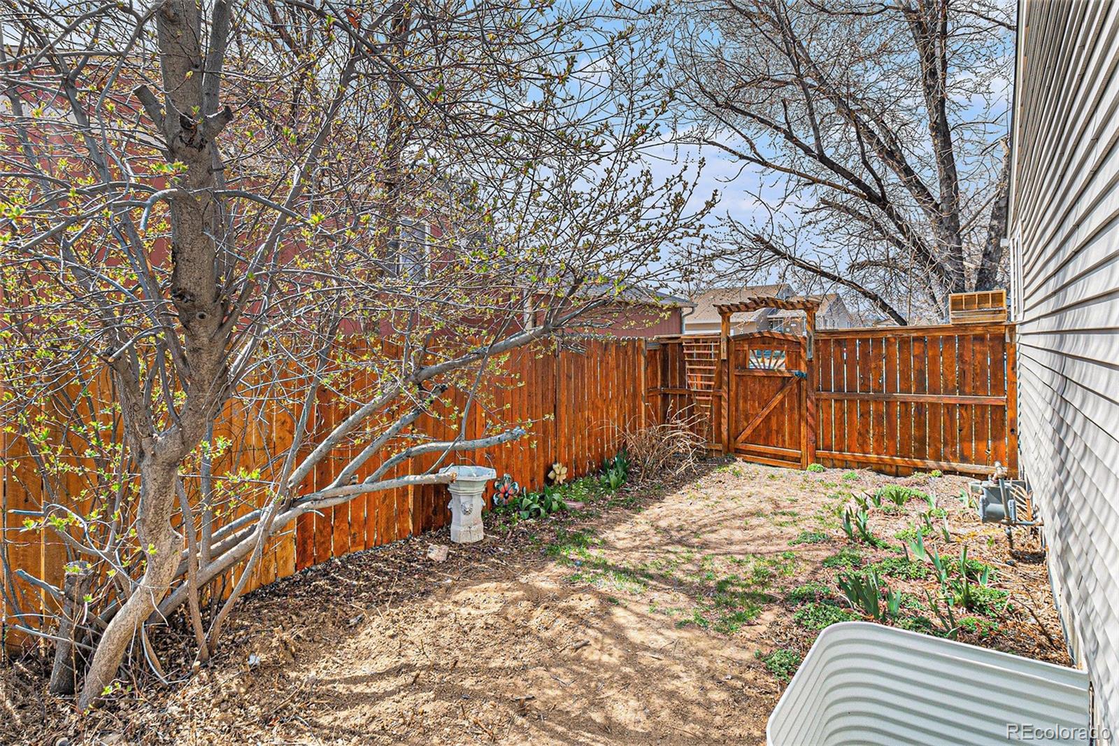 12418 Albion Street Thornton CO 80241