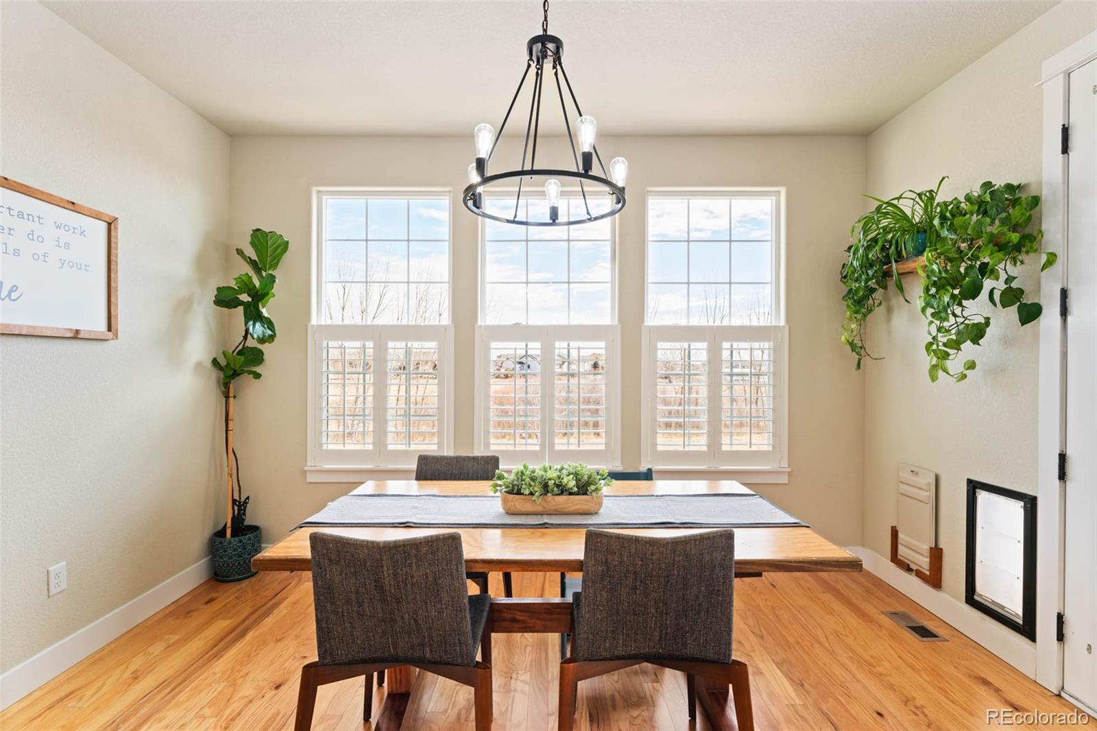 244 Mt Harvard Avenue Severance CO 80550