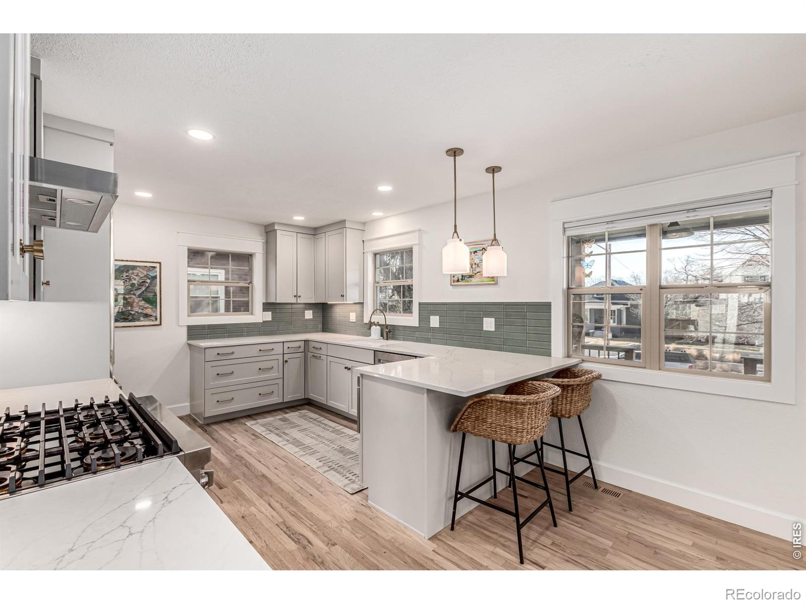 1542 S Ogden Street Denver CO 80210