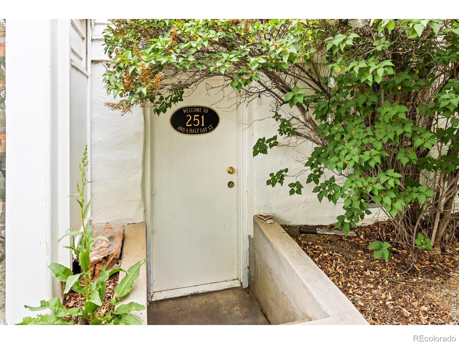 251 Gay Street Longmont CO 80501