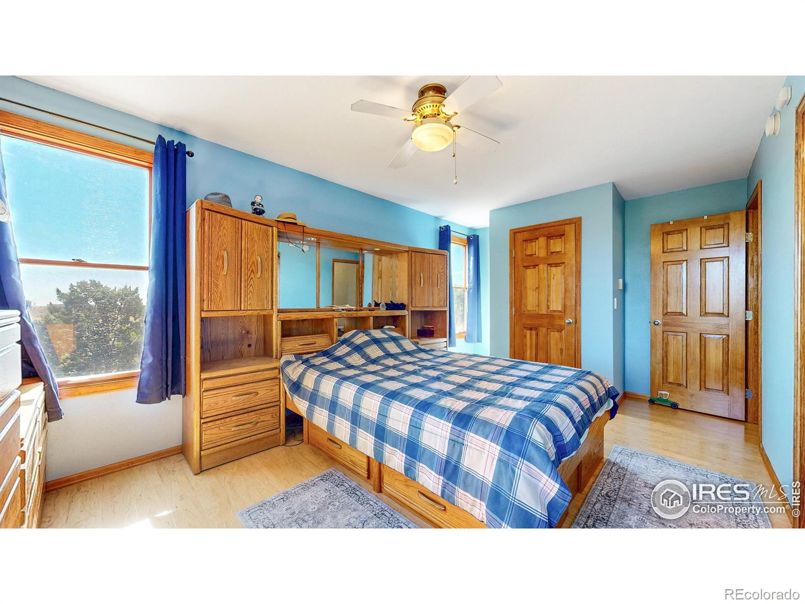 712 Colt Drive Loveland CO 80537