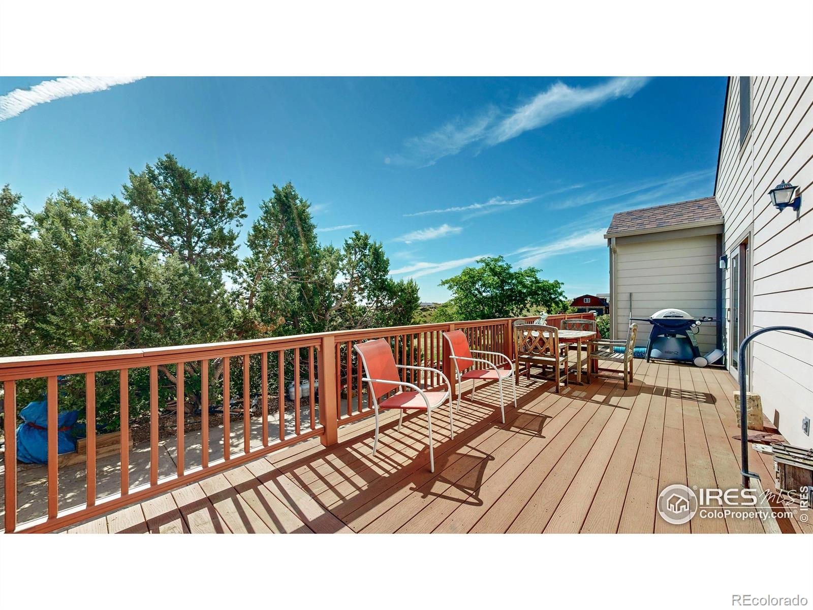 712 Colt Drive Loveland CO 80537