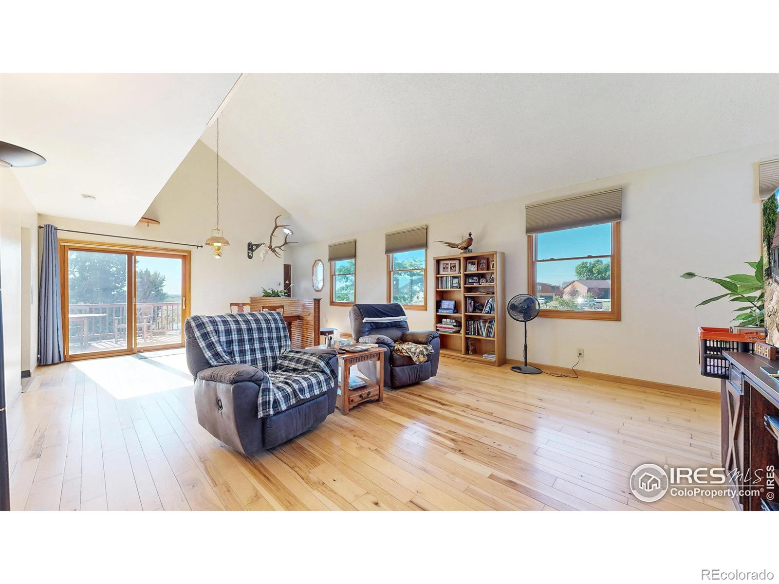 712 Colt Drive Loveland CO 80537