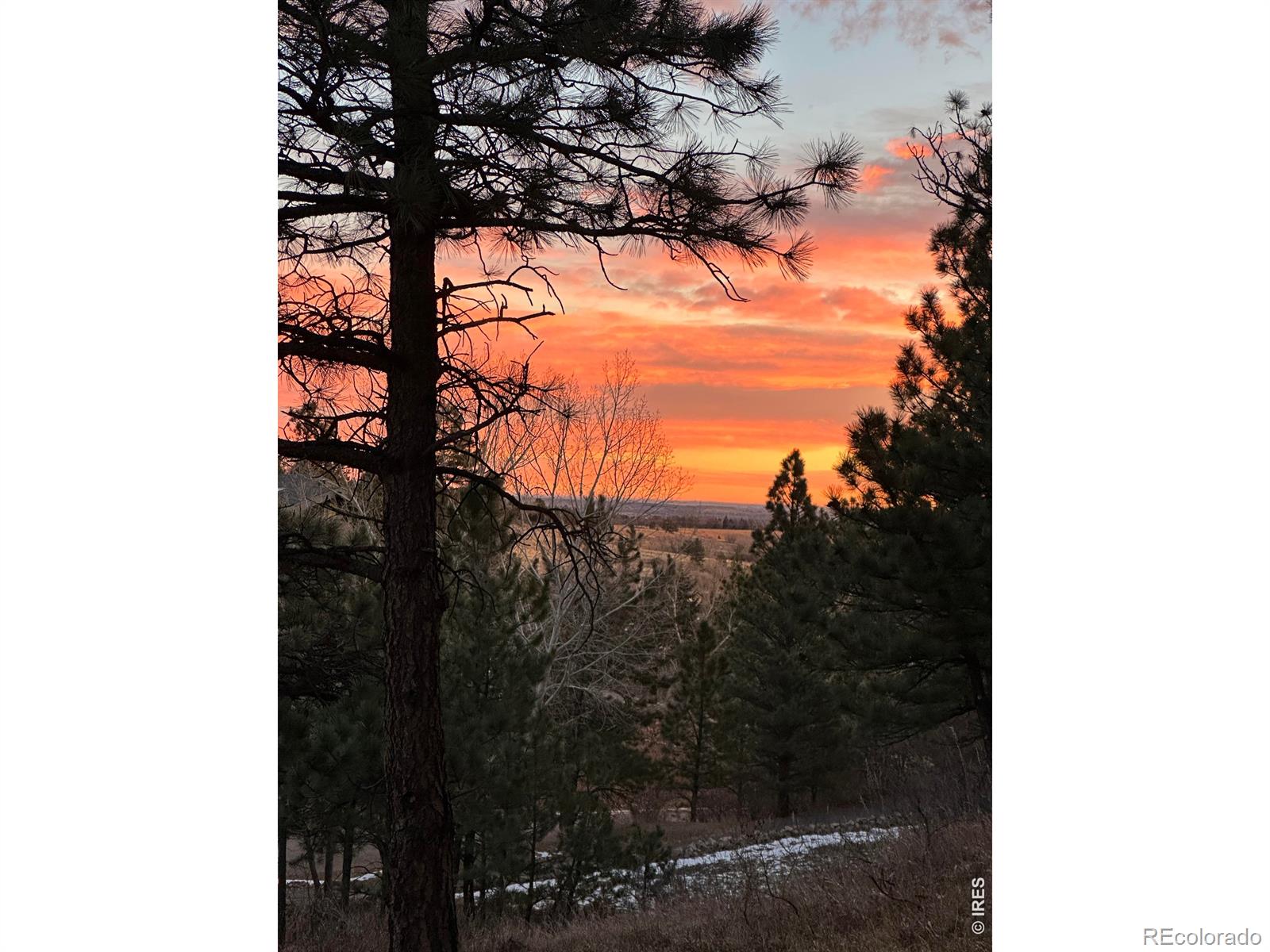 2706 Crestridge Court Boulder CO 80302