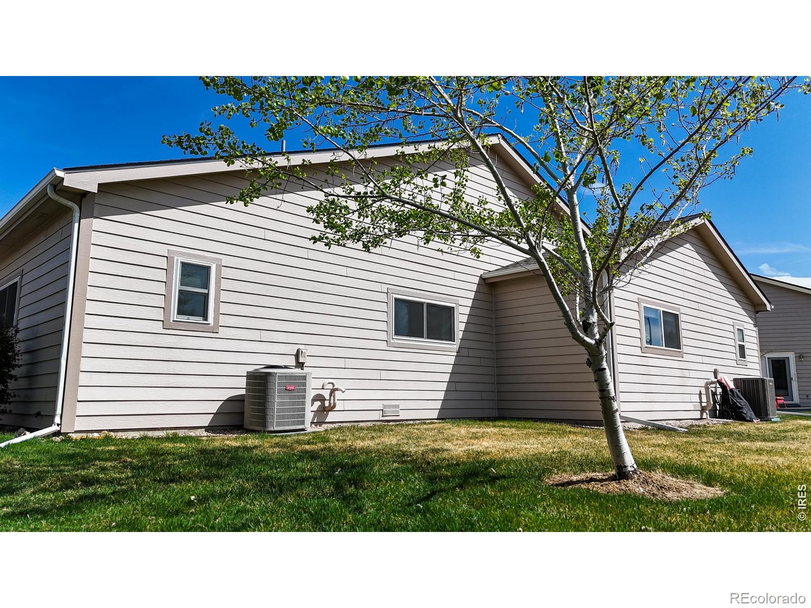6539 Finch Court Fort Collins CO 80525