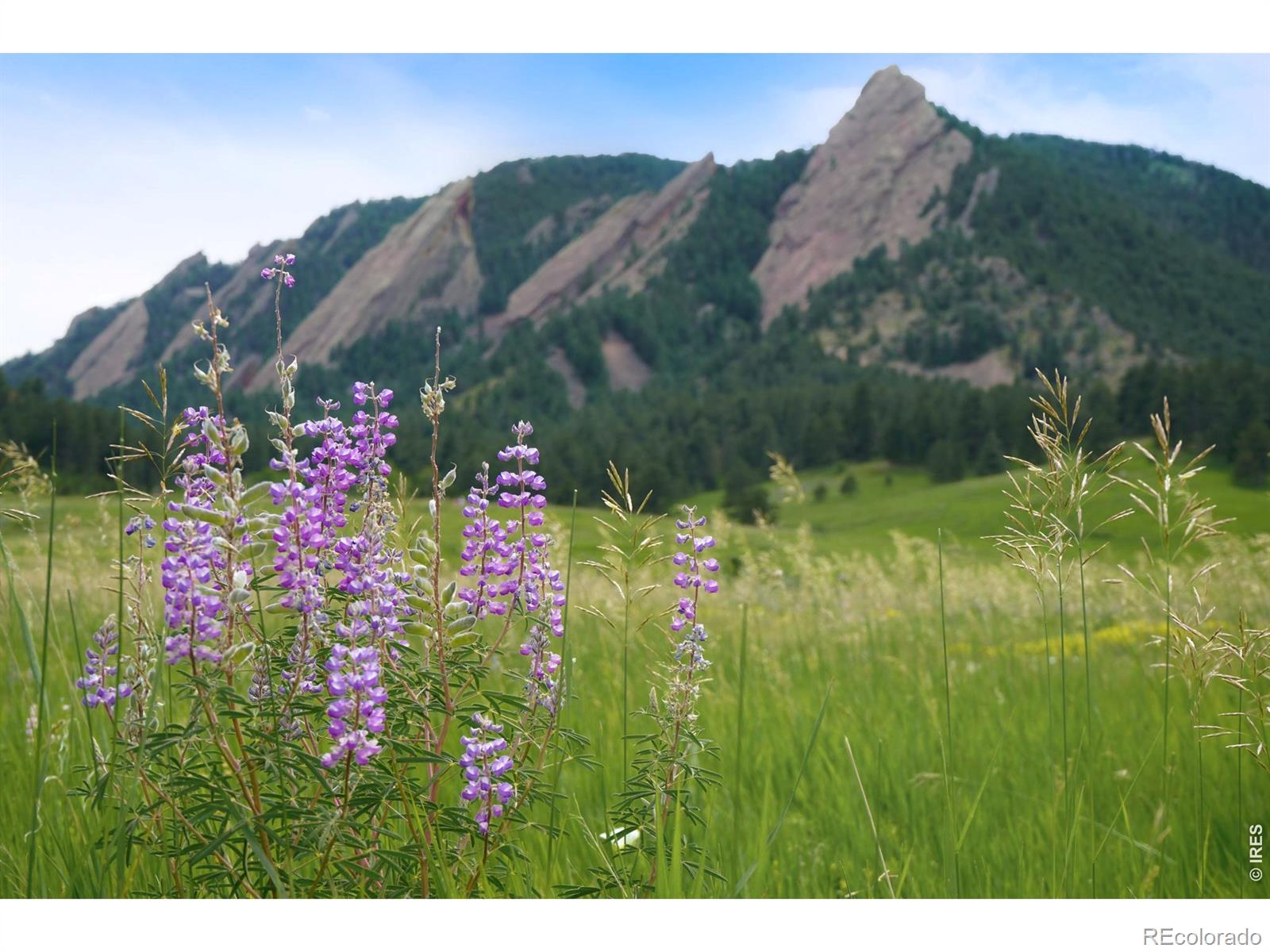 770 6th Street Boulder CO 80302
