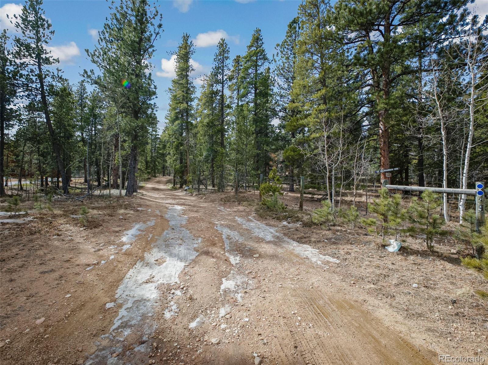 89 Prospectors Way Bailey CO 80421