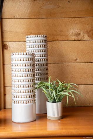 28700 County Road 304 Buena Vista CO 81211