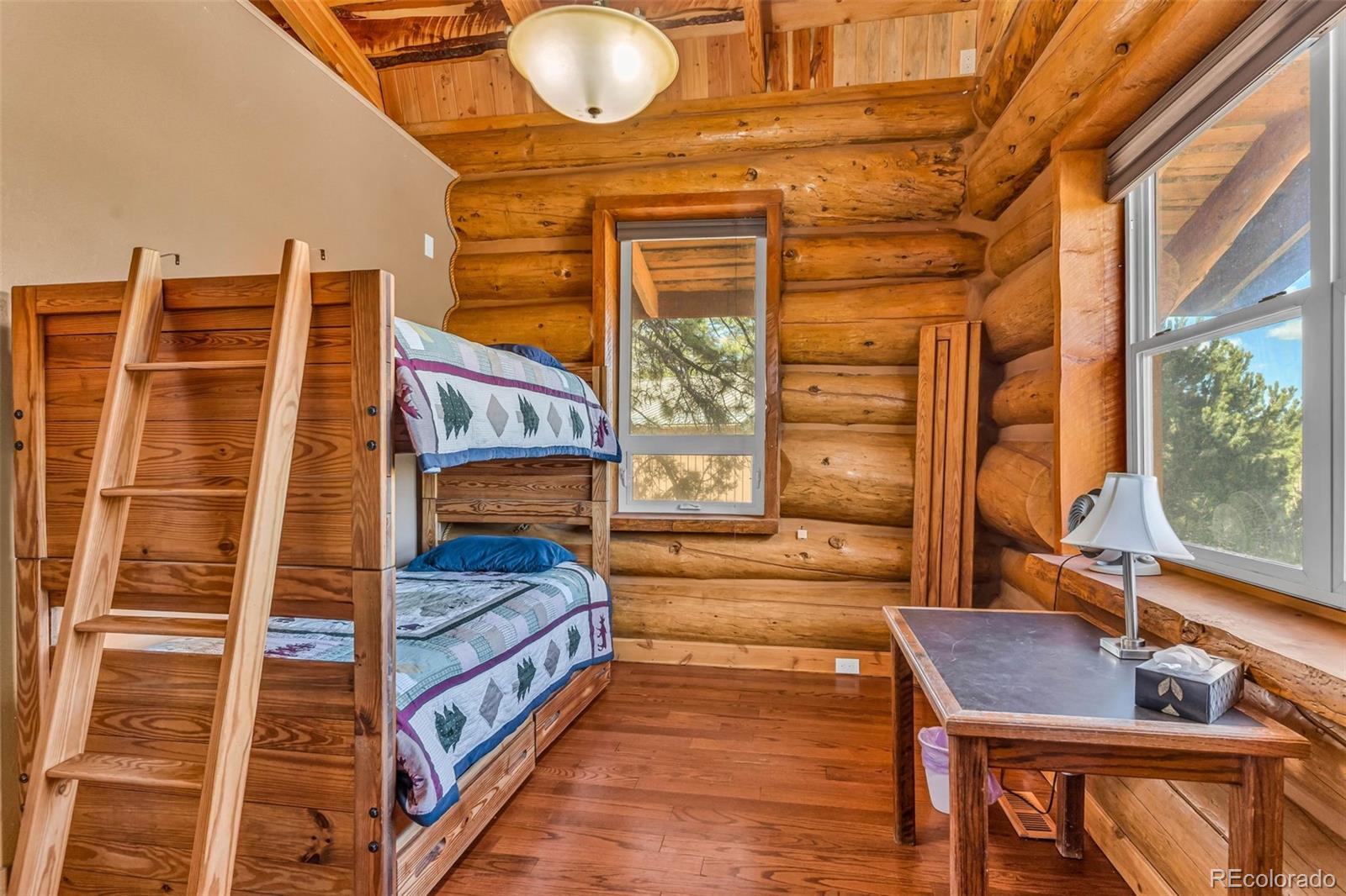 860 Texas Creek Lane Cotopaxi CO 81223