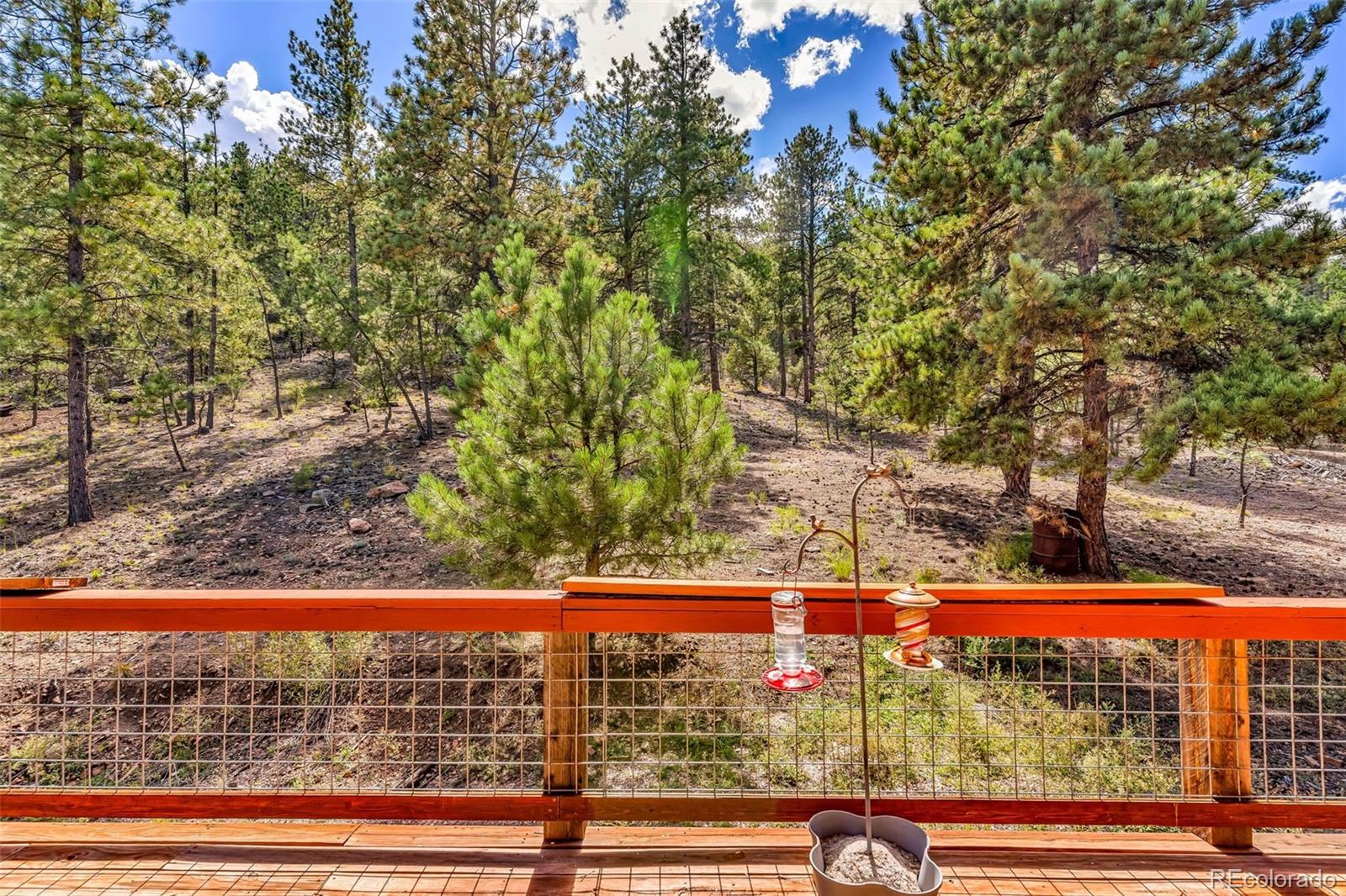 860 Texas Creek Lane Cotopaxi CO 81223