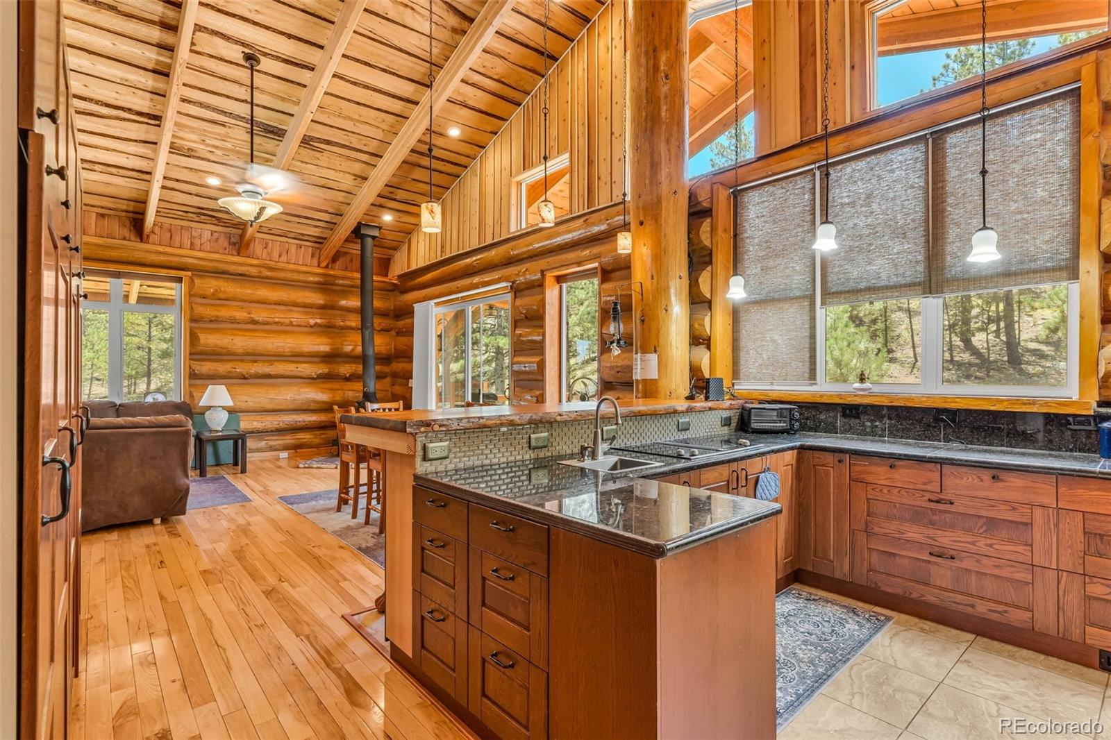 860 Texas Creek Lane Cotopaxi CO 81223