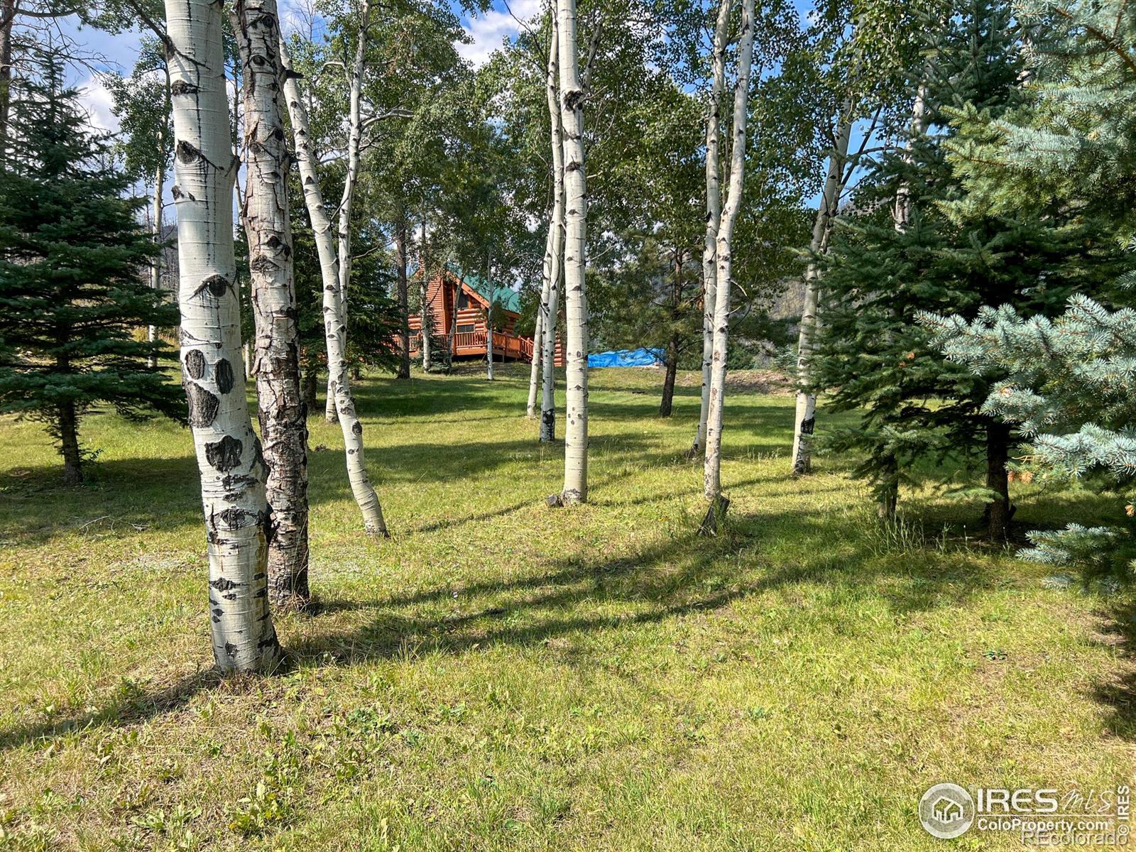 27667 Buckhorn Road Bellvue CO 80512