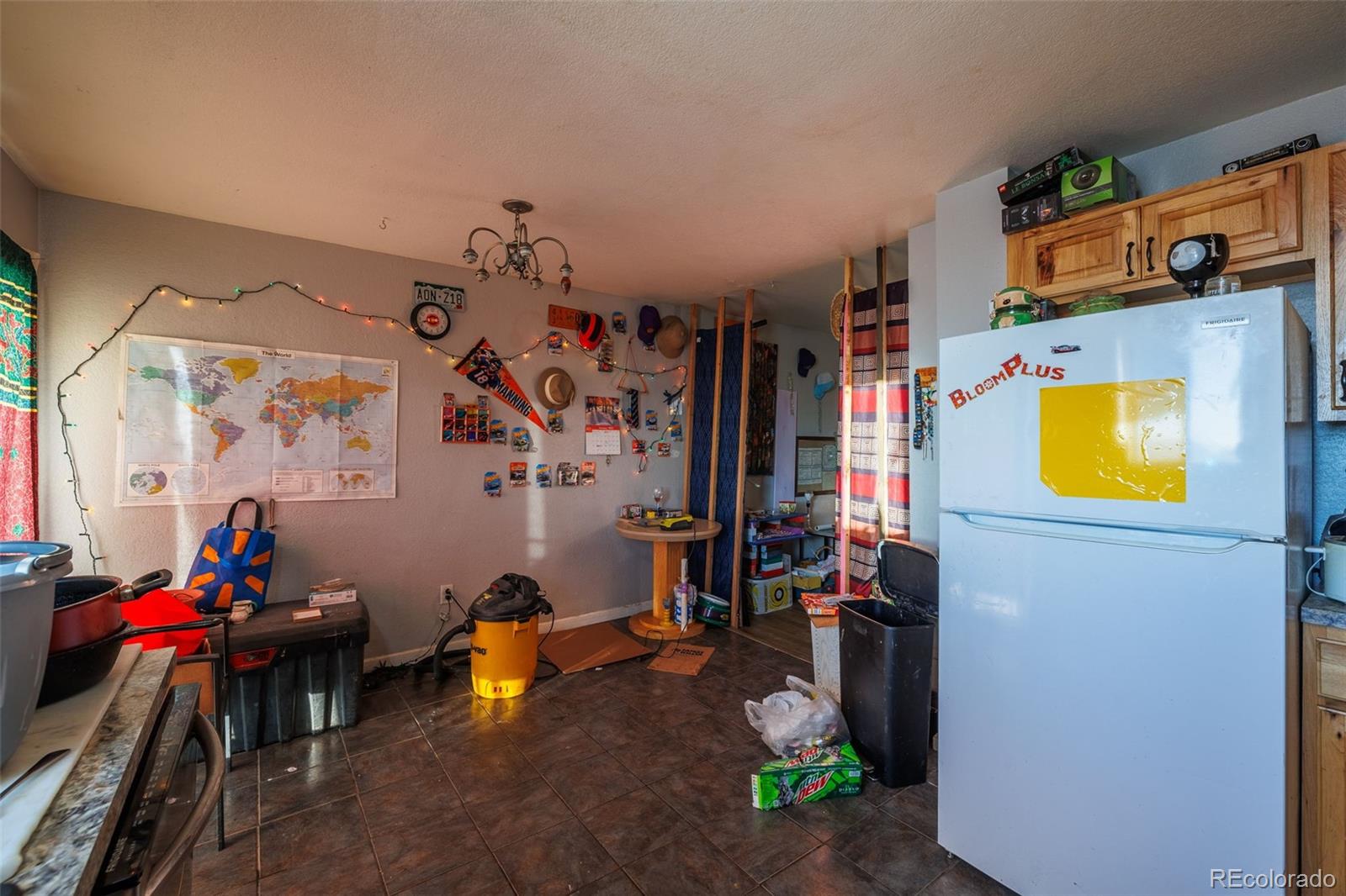 203 Hayden Street Cripple Creek CO 80813