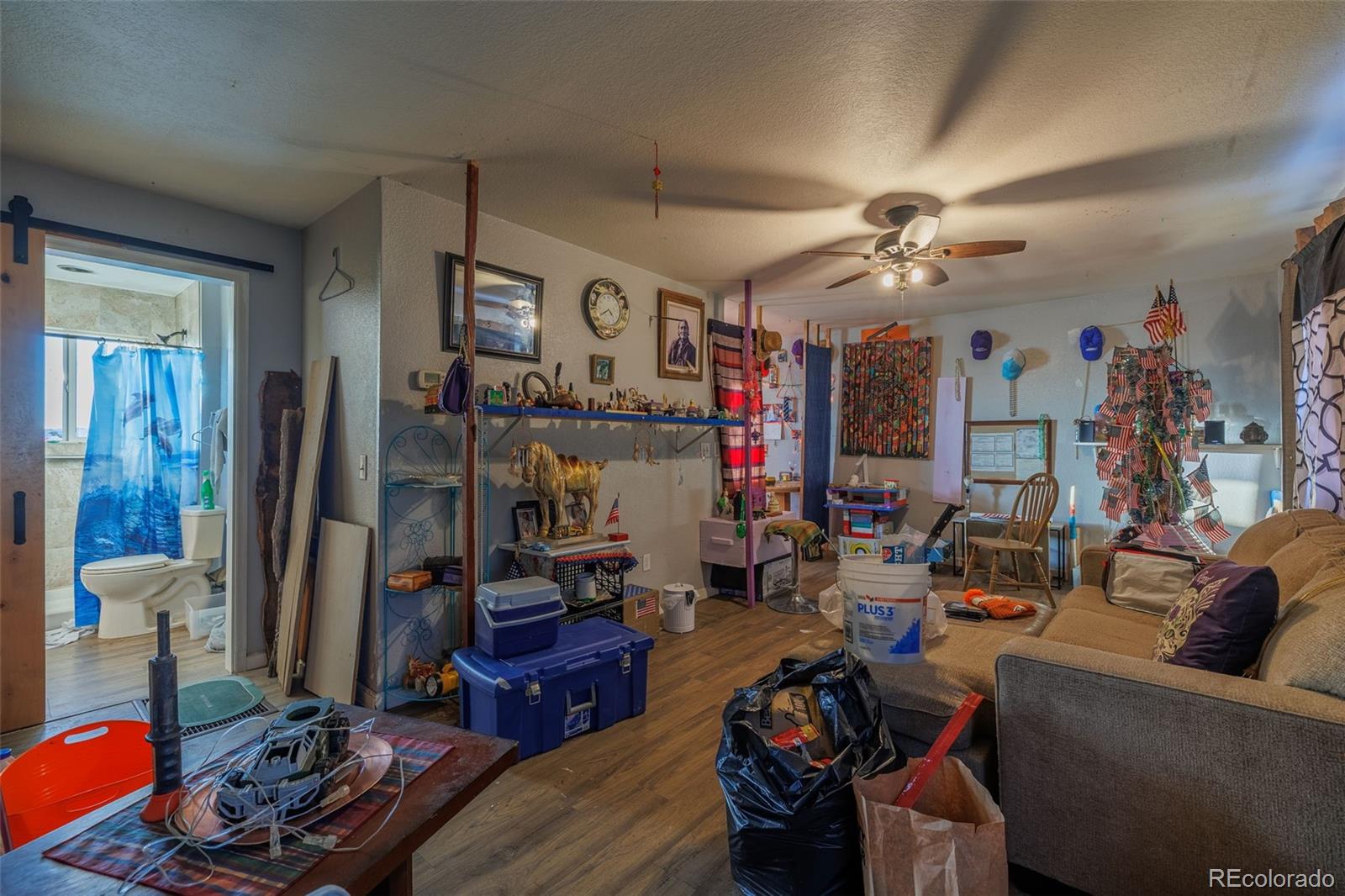 203 Hayden Street Cripple Creek CO 80813