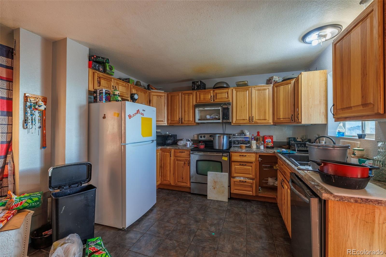 203 Hayden Street Cripple Creek CO 80813