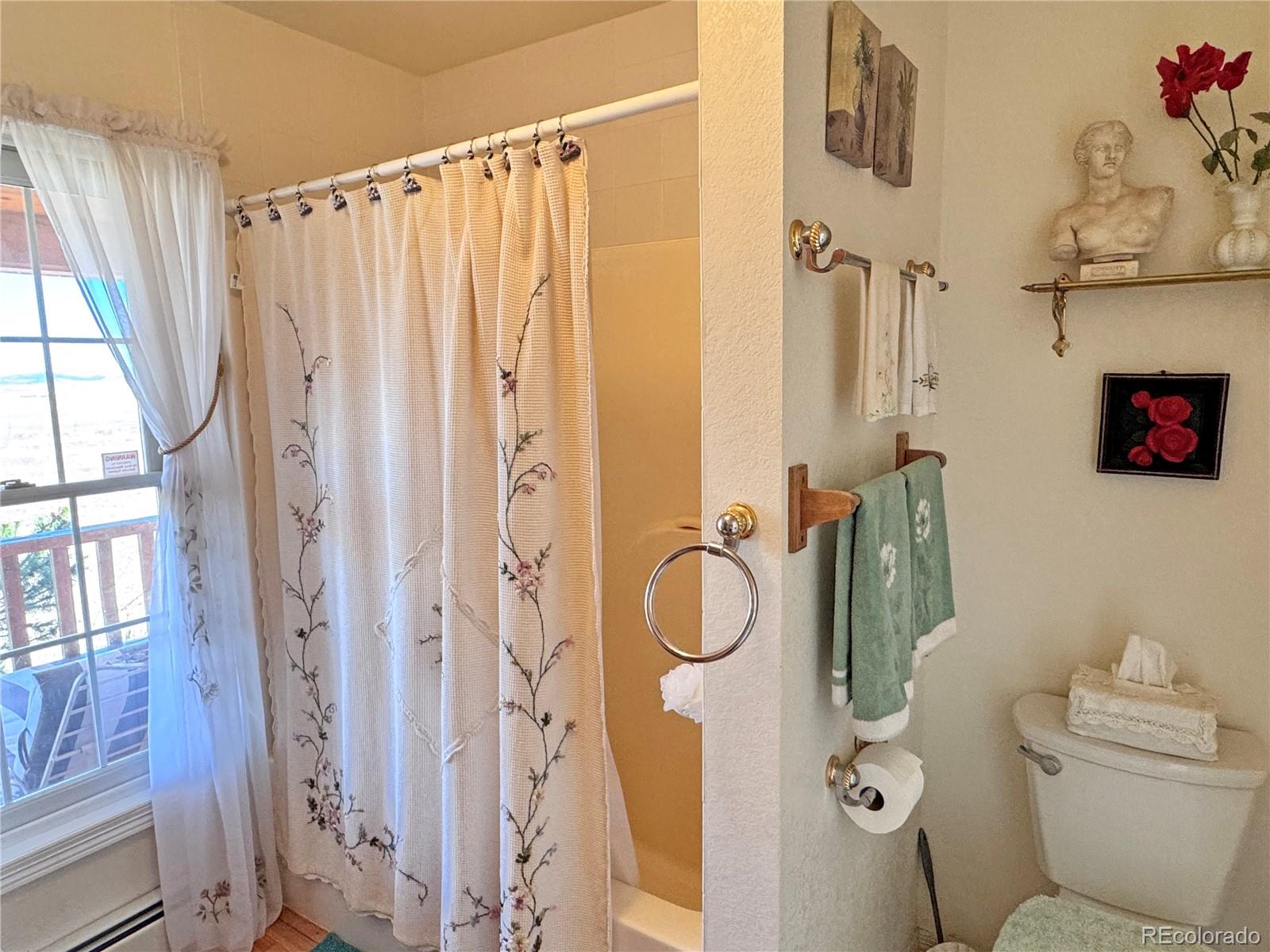 28 County Road 136 Westcliffe CO 81252