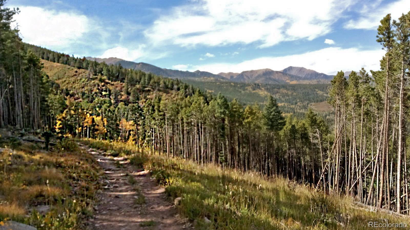 28 County Road 136 Westcliffe CO 81252