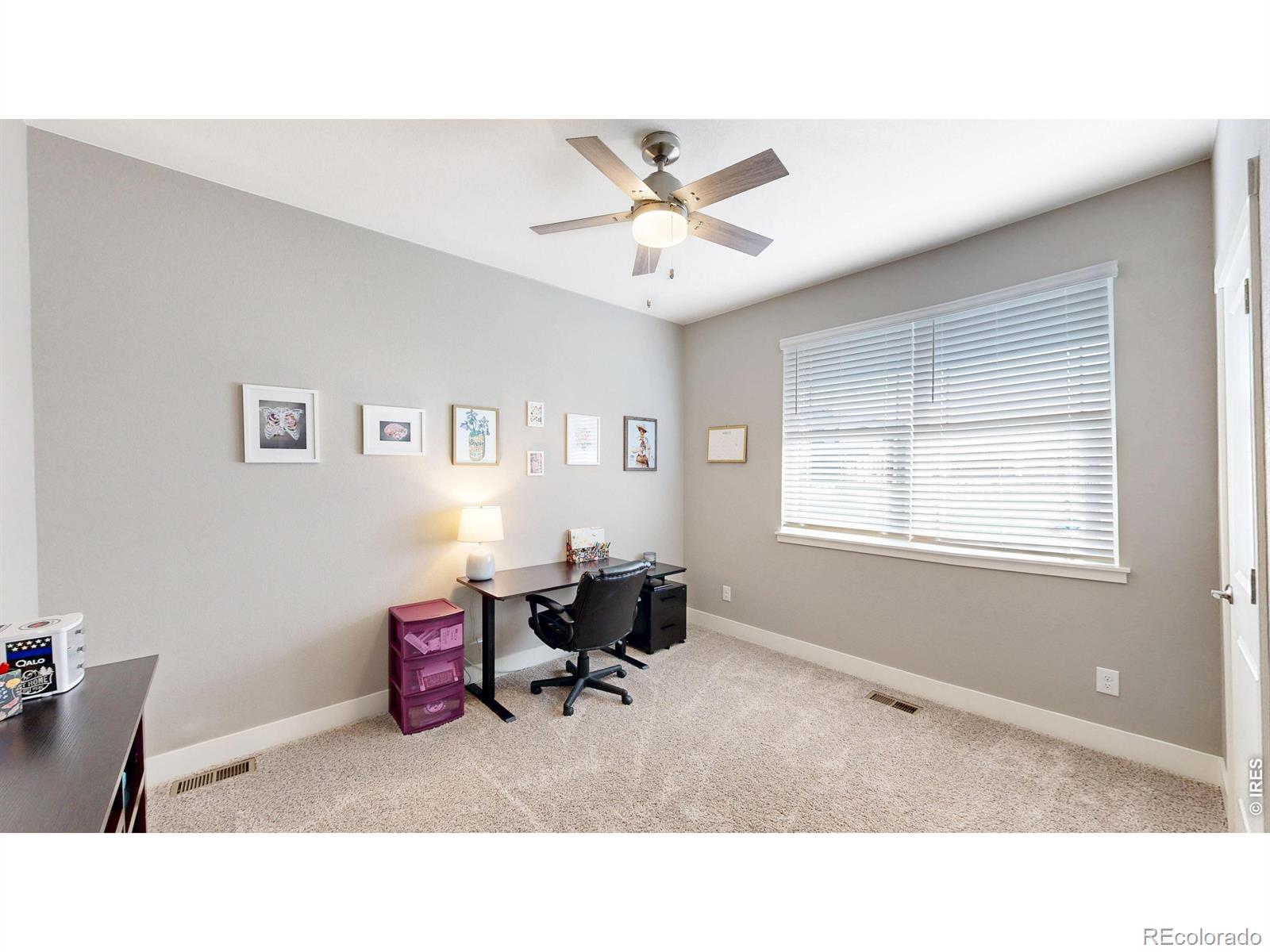 903 Rollins Den Drive Fort Collins CO 80524