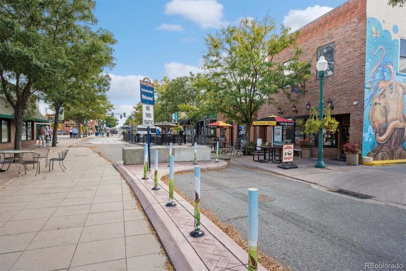 8977 W 56th Place Arvada CO 80002