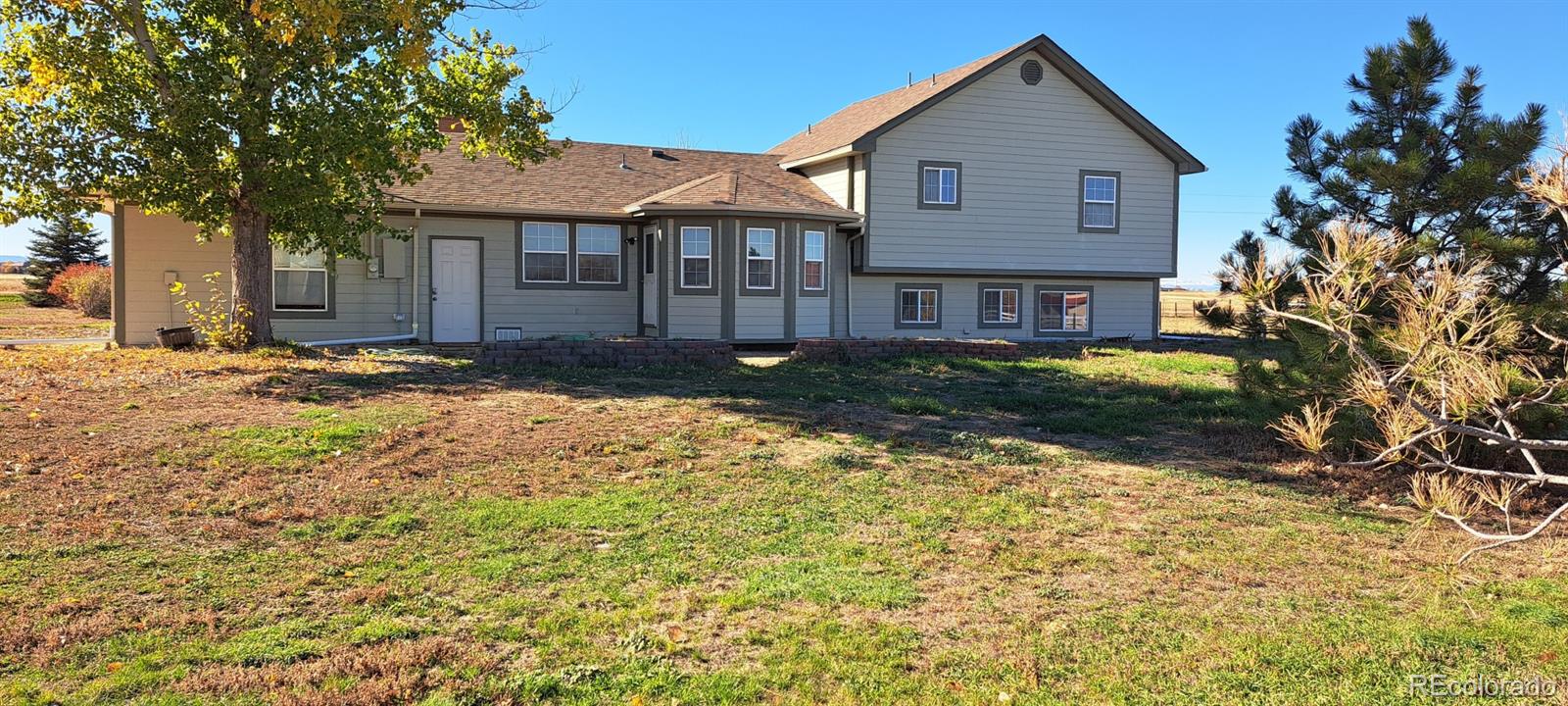 12426 N 1st Street Parker CO 80134