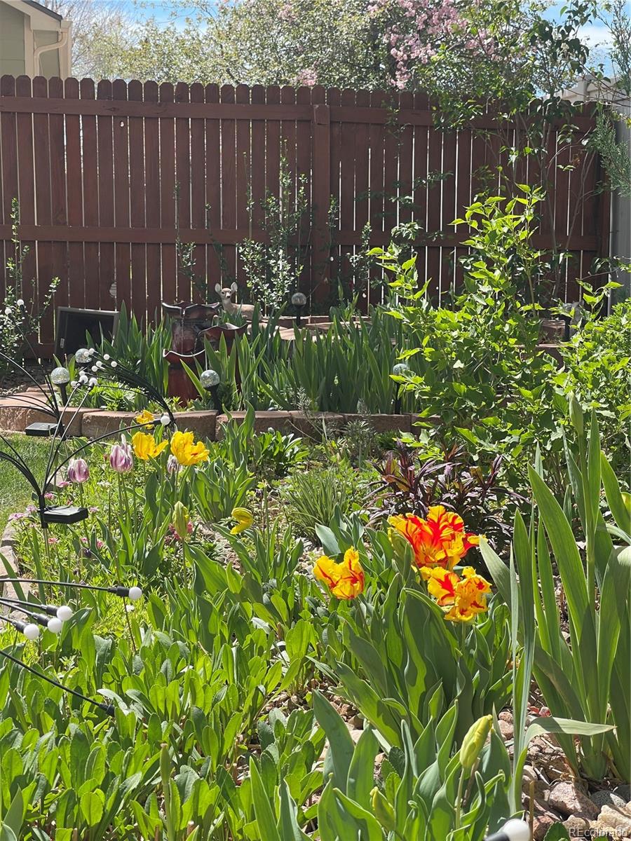 4194 S Lisbon Way Aurora CO 80013