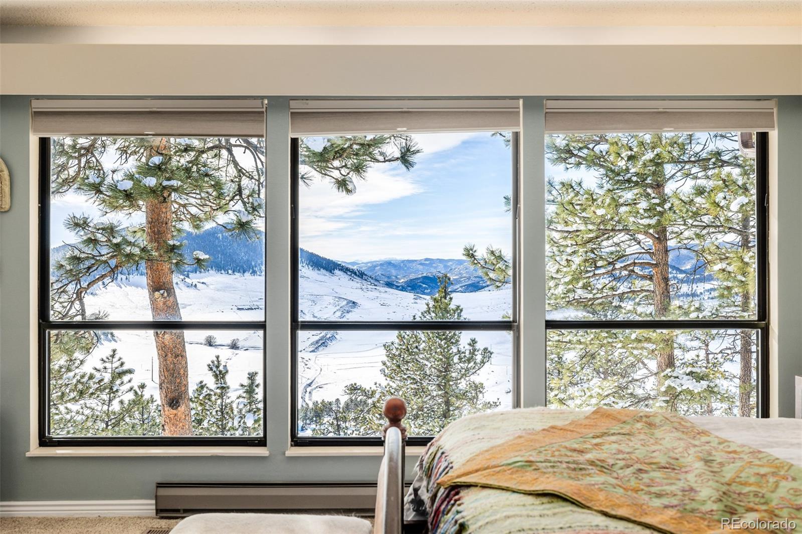 834 Green Mountain Drive Loveland CO 80537