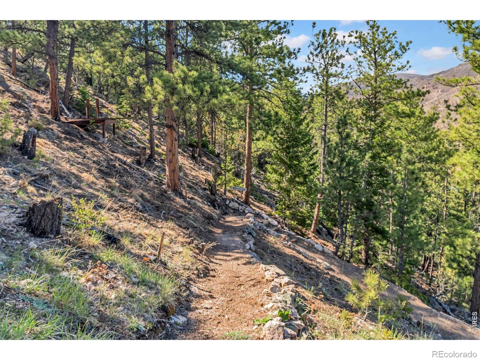 500 Bulwark Ridge Drive Glen Haven CO 80532