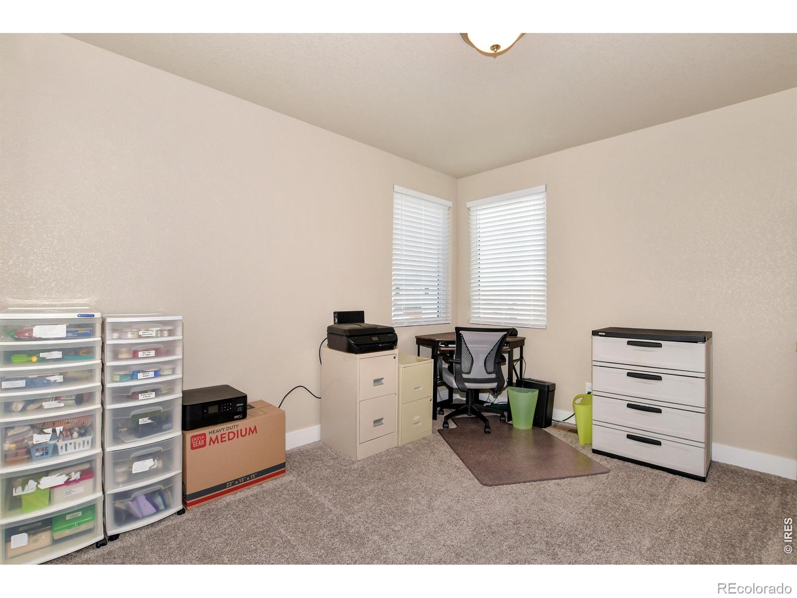 3163 Da Vinci Drive Loveland CO 80538