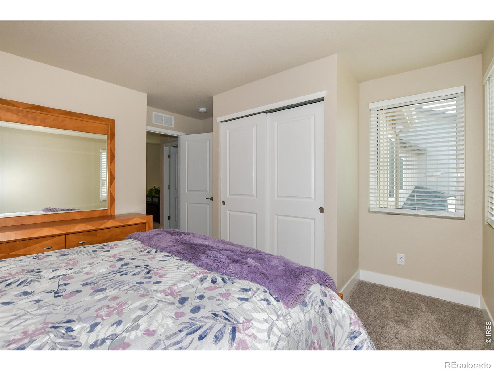 3163 Da Vinci Drive Loveland CO 80538