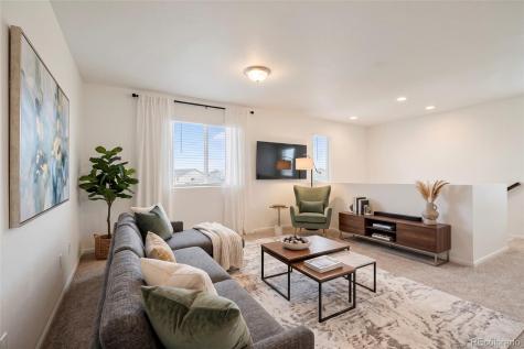 6318 Vista Cliff Loop Castle Rock CO 80104