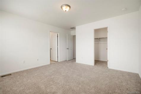 6318 Vista Cliff Loop Castle Rock CO 80104