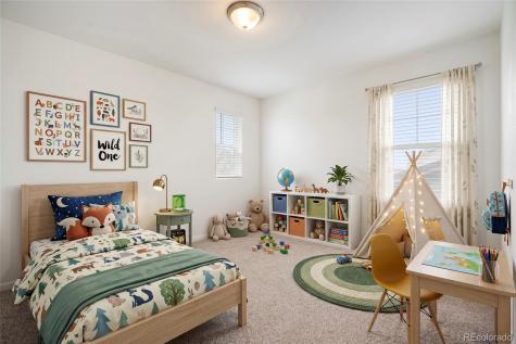 6318 Vista Cliff Loop Castle Rock CO 80104