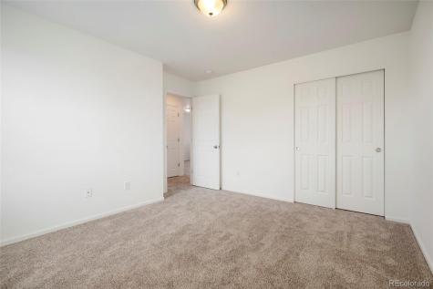 6318 Vista Cliff Loop Castle Rock CO 80104