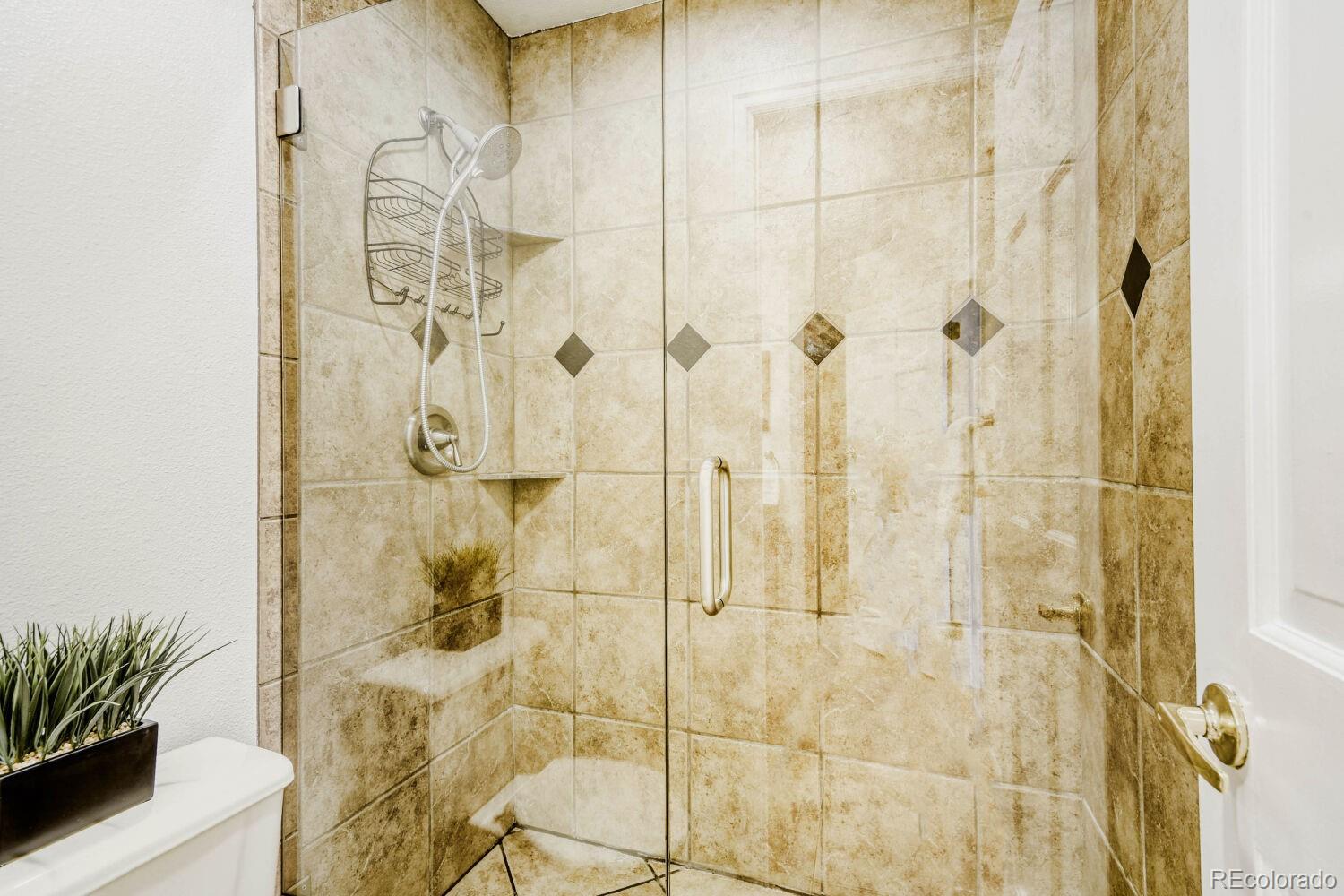 2003 Chesapeake Lane Highlands Ranch CO 80126