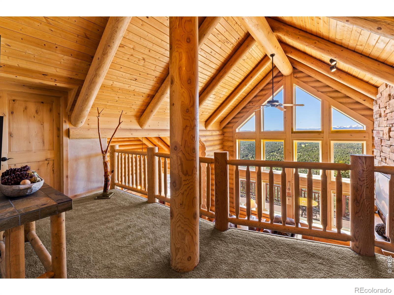 6436 N County Road 73c Red Feather Lakes CO 80545