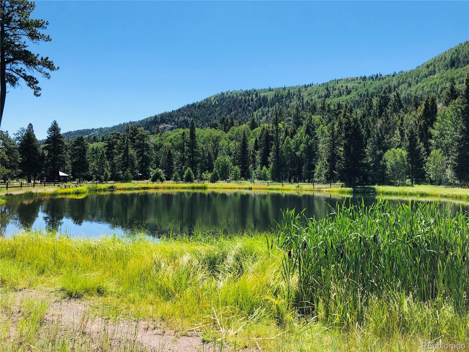 172 Elk Meadow Run Antonito CO 81120