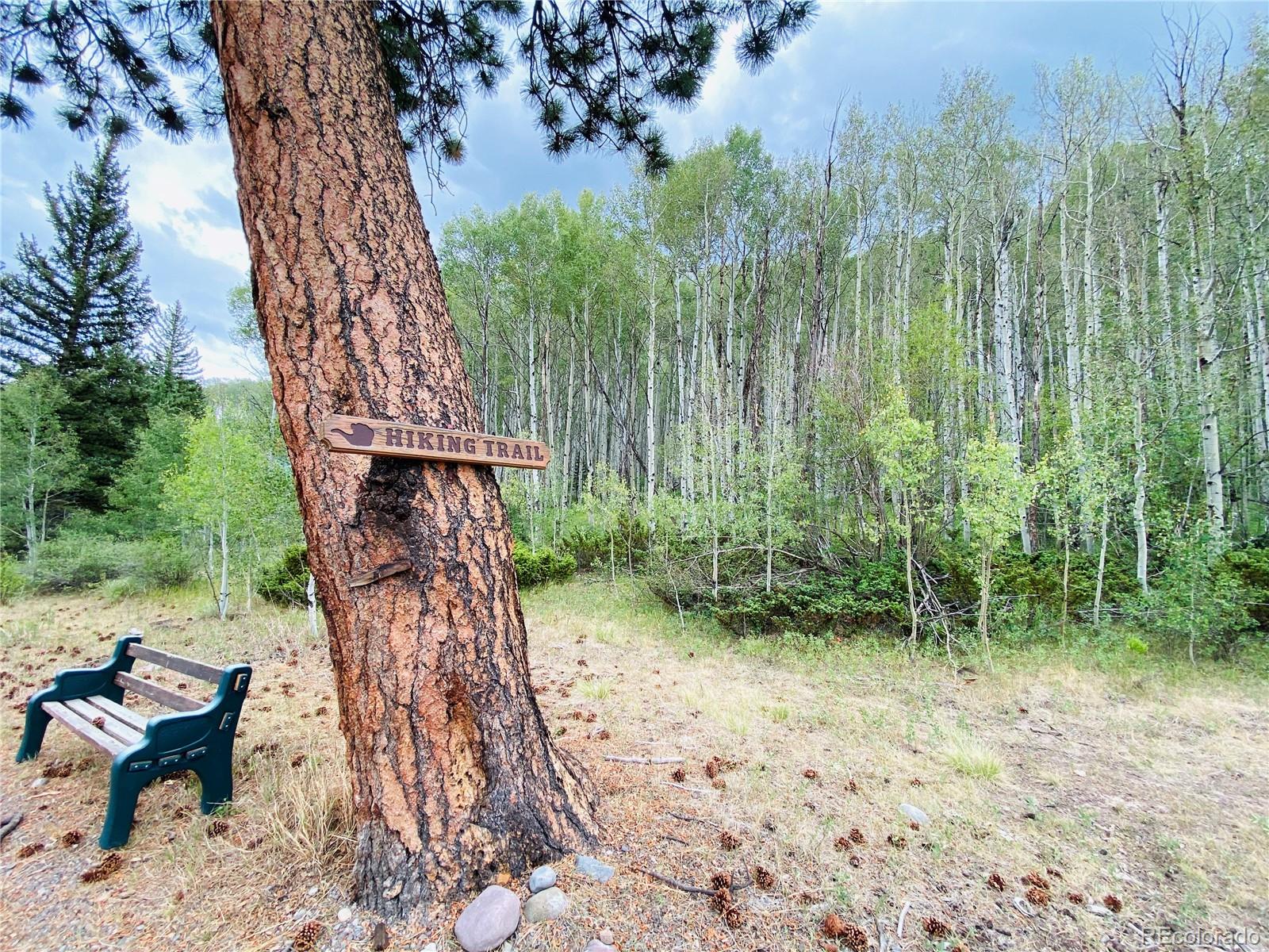 172 Elk Meadow Run Antonito CO 81120