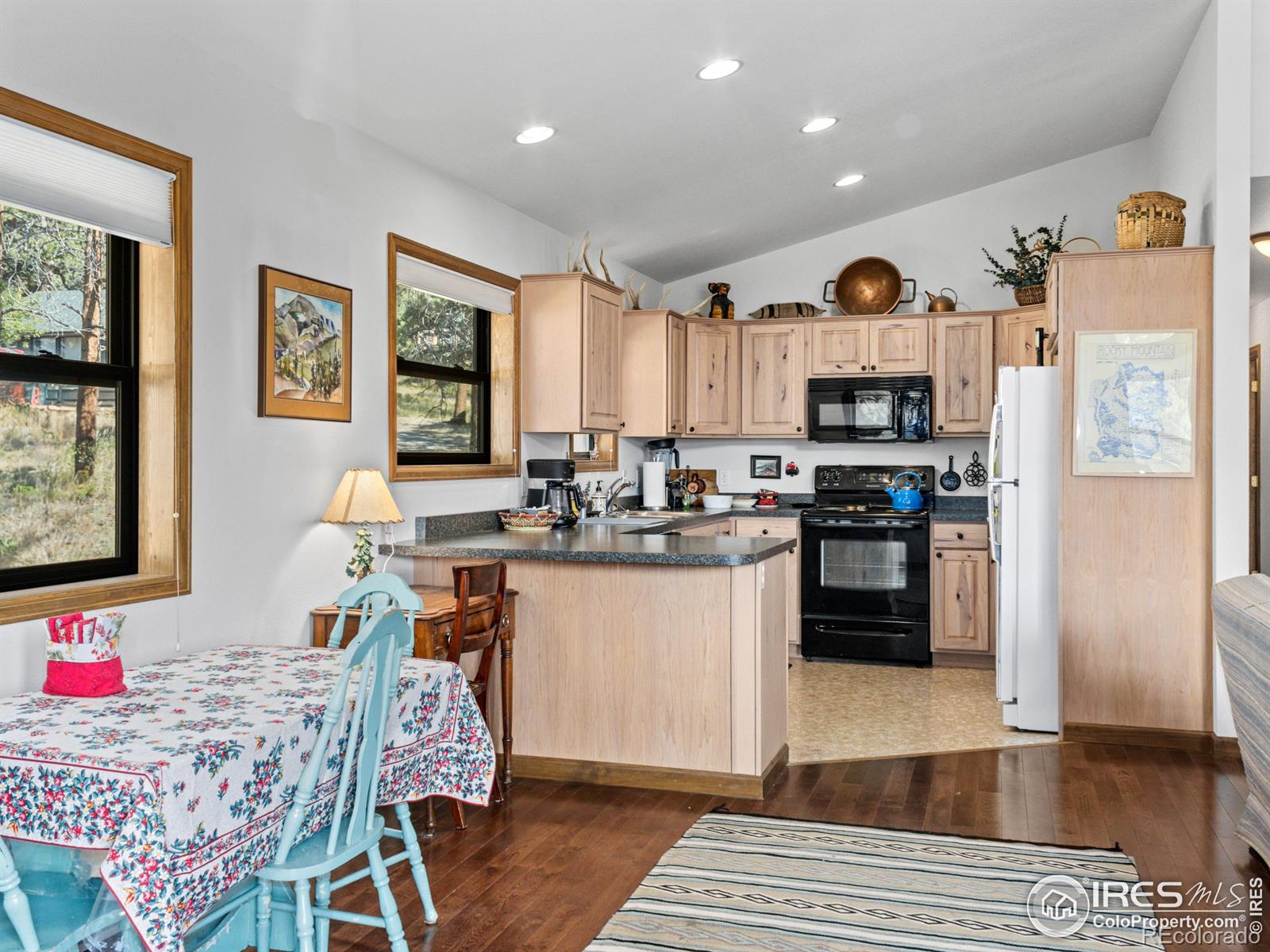 725 Upper Larkspur Lane Estes Park CO 80517