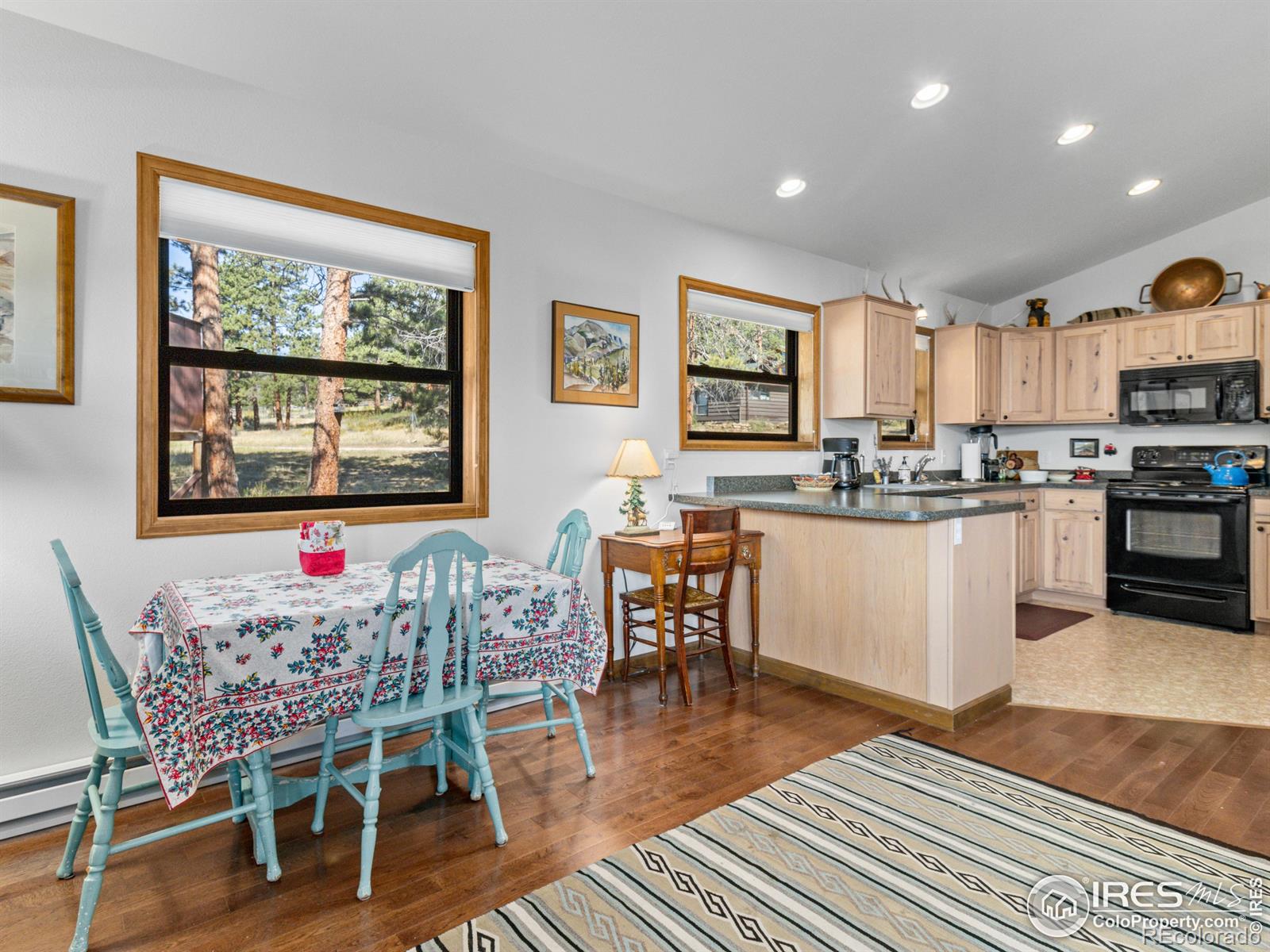 725 Upper Larkspur Lane Estes Park CO 80517