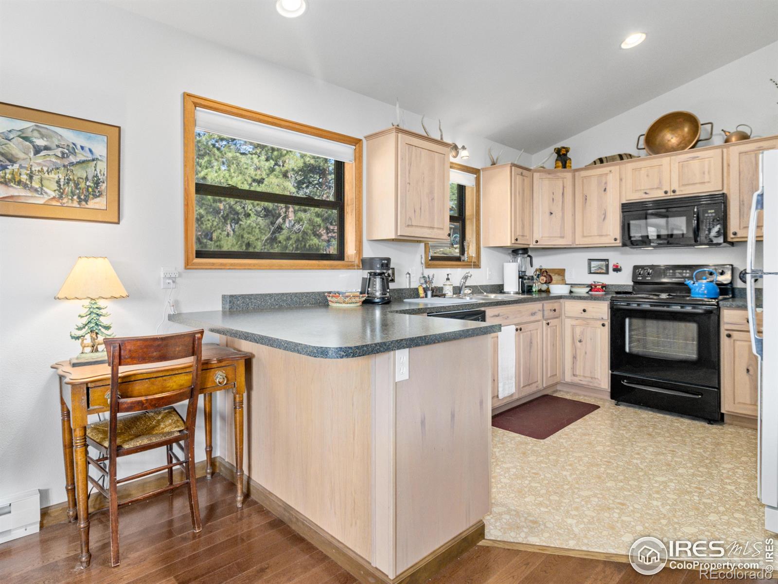 725 Upper Larkspur Lane Estes Park CO 80517