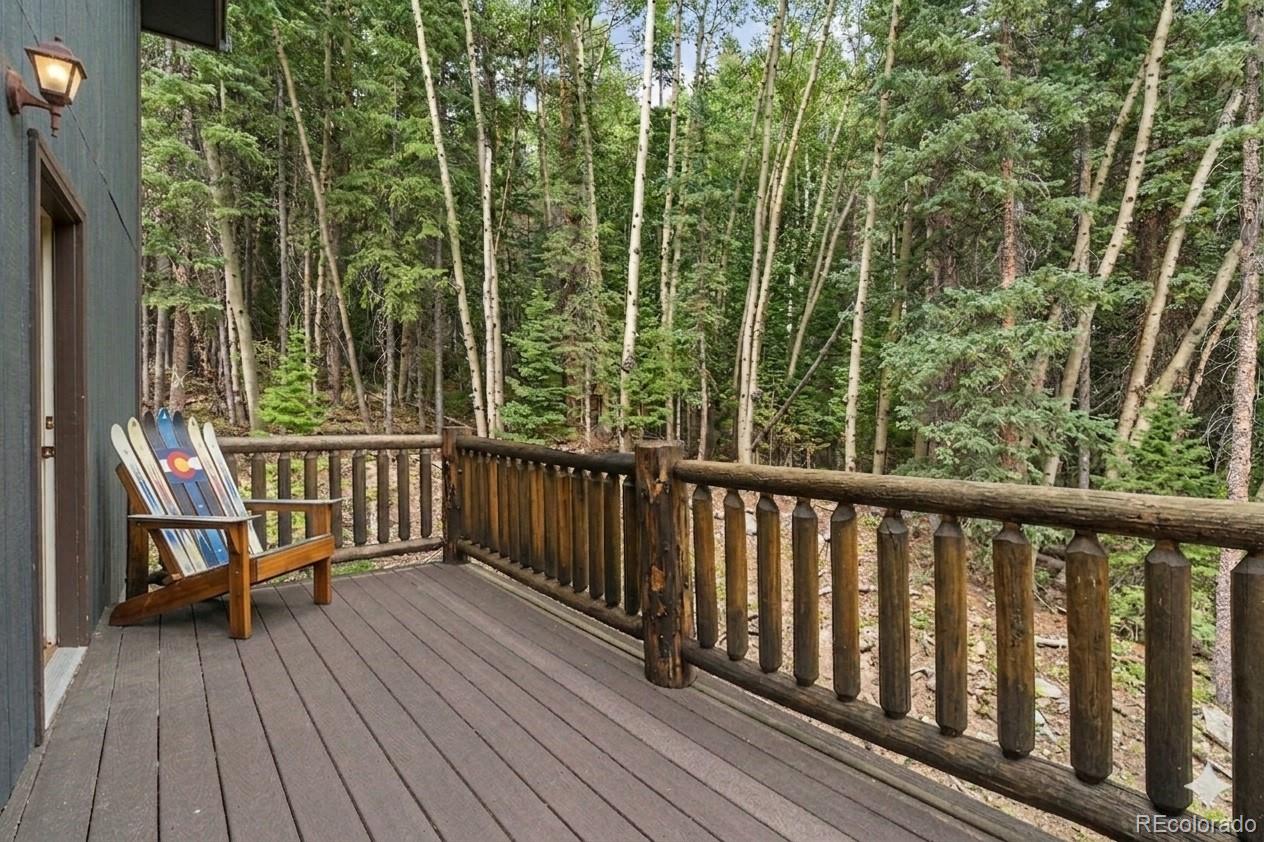 388 Saw Mill Lane Idaho Springs CO 80452