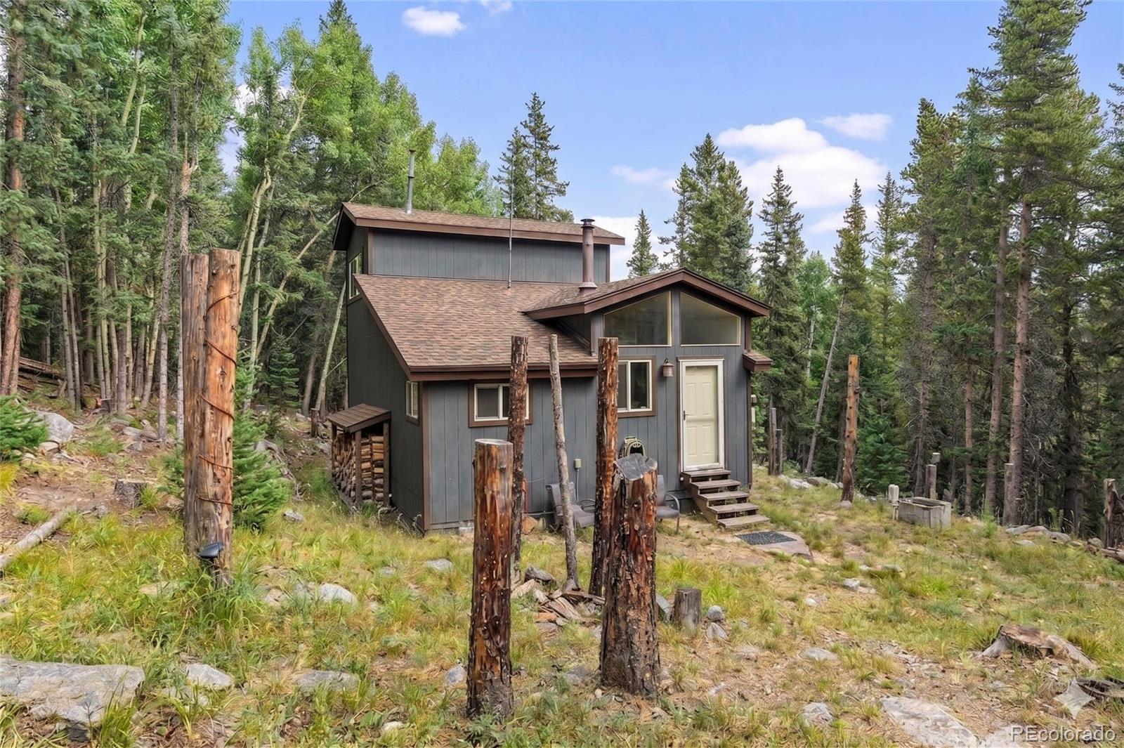 388 Saw Mill Lane Idaho Springs CO 80452
