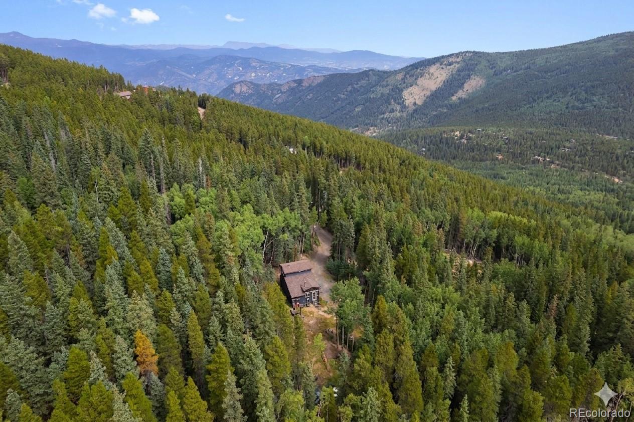 388 Saw Mill Lane Idaho Springs CO 80452