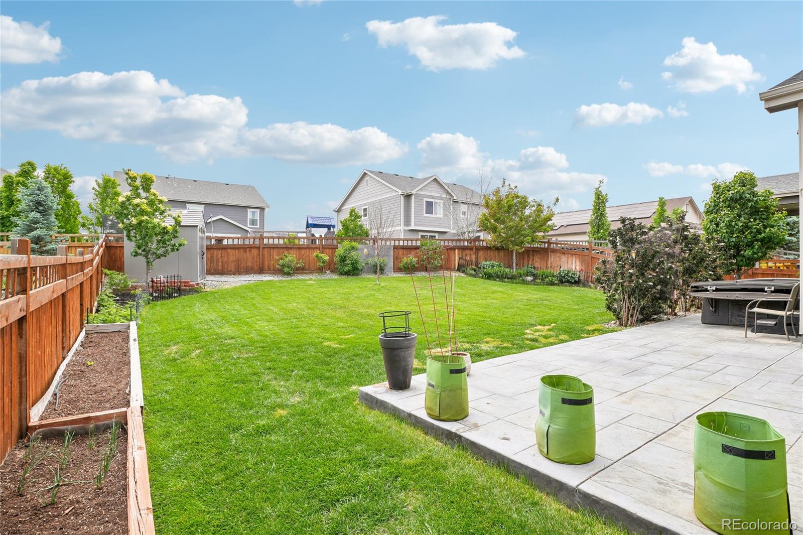 442 Daylily Street Brighton CO 80601