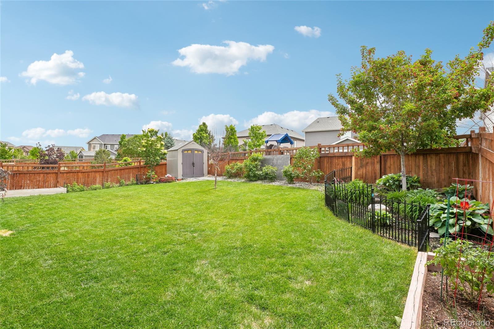 442 Daylily Street Brighton CO 80601