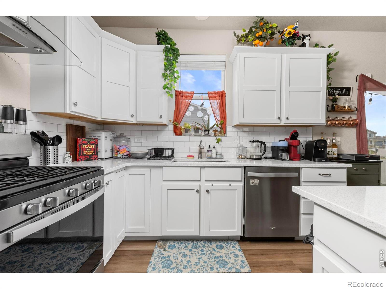 3801 Beech Tree Street Wellington CO 80549