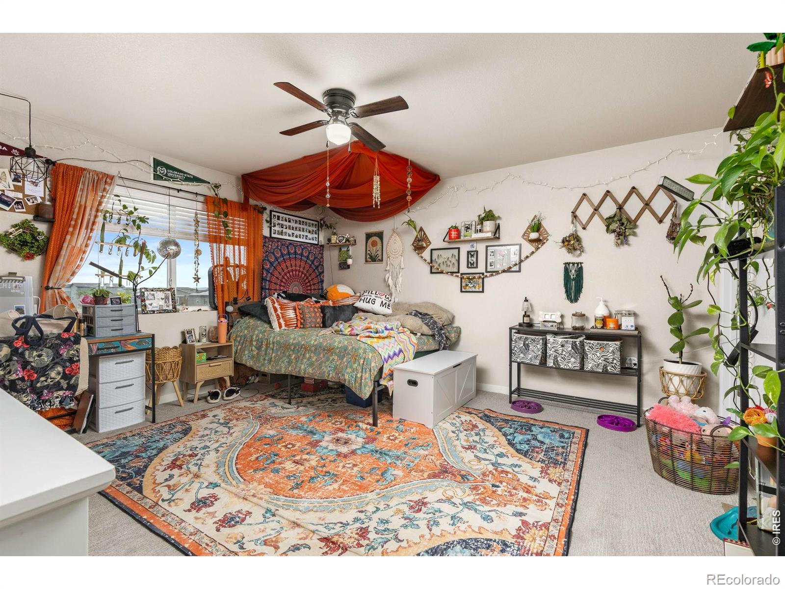 3801 Beech Tree Street Wellington CO 80549
